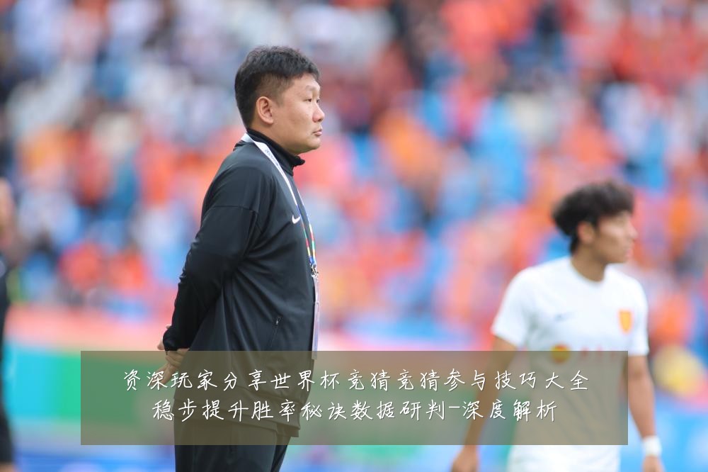 资深玩家分享世界杯竞猜竞猜参与技巧大全稳步提升胜率秘诀数据研判-深度解析